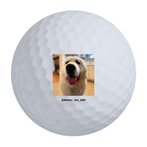 TaylorMade Distance + Golf Balls