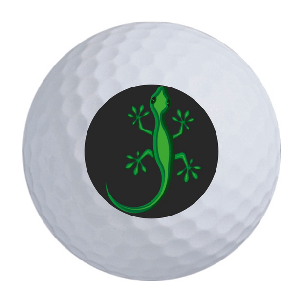 Noodle Long and Soft Golf Balls - 24 Ball Pack