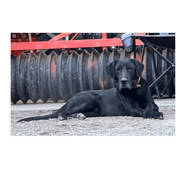 Custom 24" x 15" Golf Towel