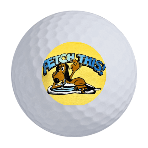 Bridgestone e6 Golf Balls