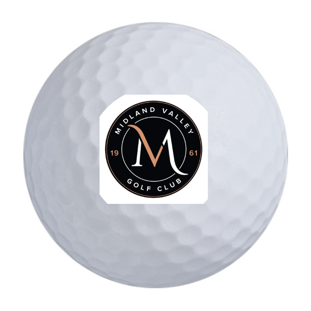 Srixon Q-Star Golf Balls