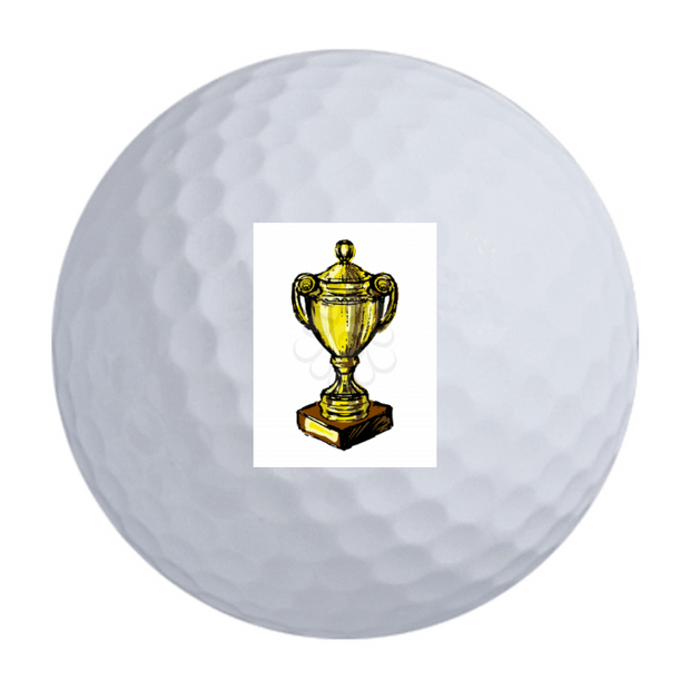 Noodle Long and Soft Golf Balls - 24 Ball Pack