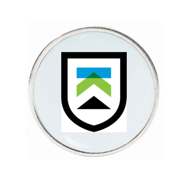 10 Pack Silver Ball Markers