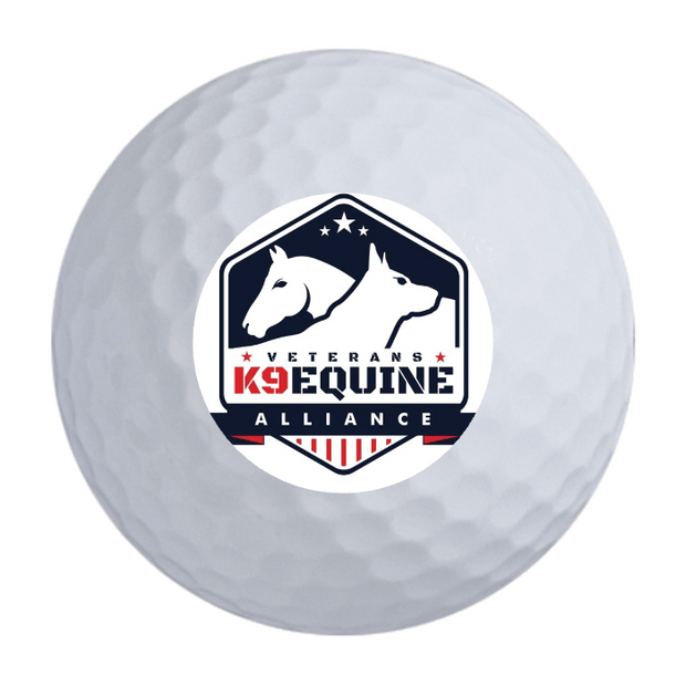 Custom Callaway Warbird Golf Balls One Dozen
