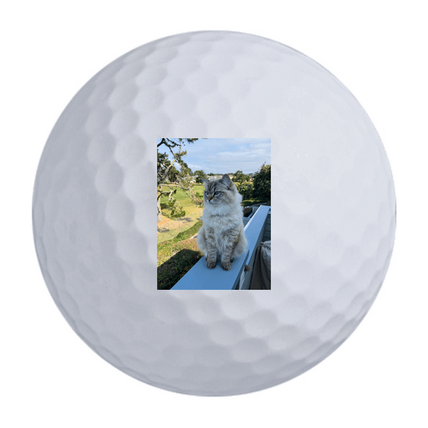 TaylorMade Distance + Golf Balls