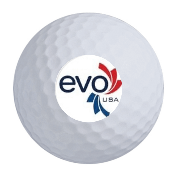 Precept Power Drive Golf Balls