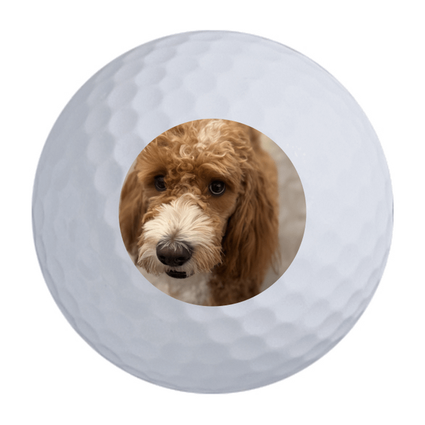 TaylorMade Distance + Golf Balls