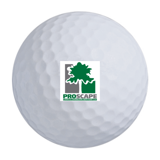 Titleist Pro V1 Golf Balls