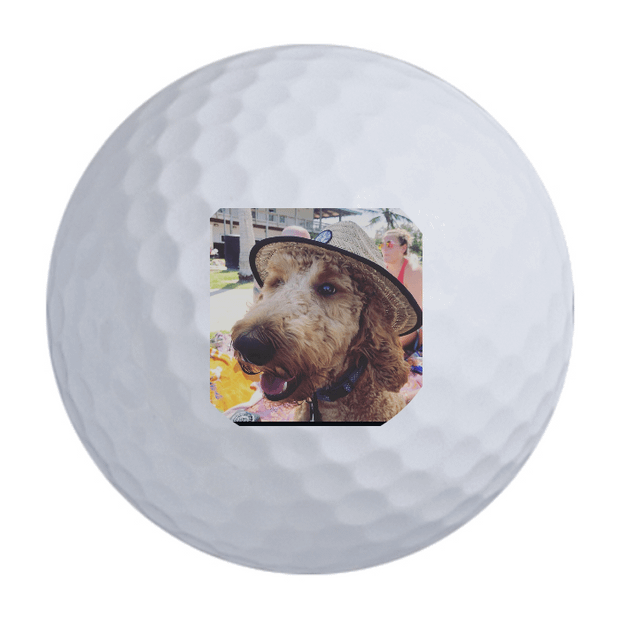 Wilson Ultra Distance Golf Balls