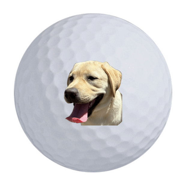 TaylorMade TP5x Golf Balls