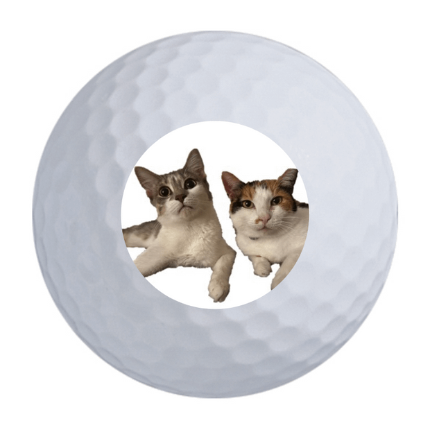 TaylorMade TP5x Golf Balls