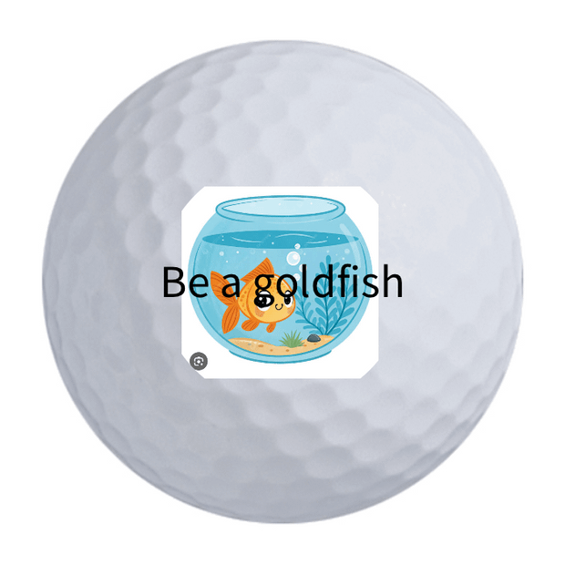 Bridgestone e12 Straight Golf Balls