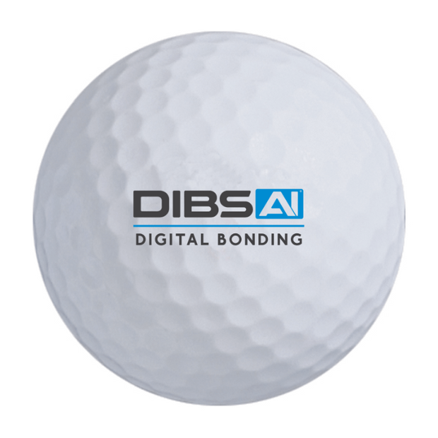 Bridgestone e6 Golf Balls