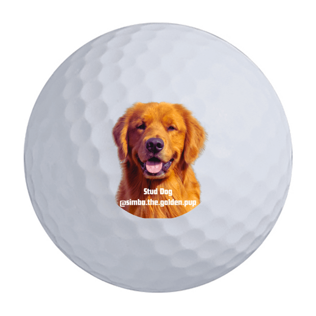 Wilson Duo Soft Golf Balls