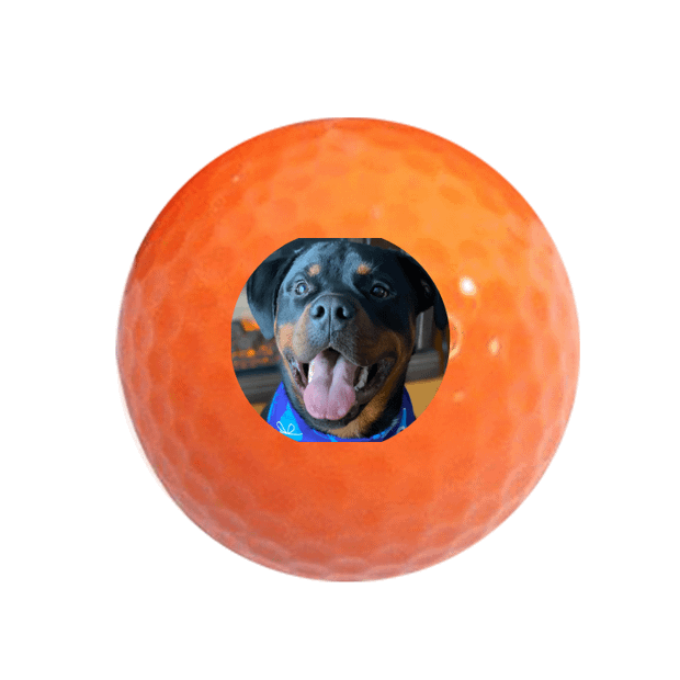 Value Golf Balls Orange