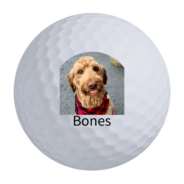 Titleist Pro V1 Golf Balls
