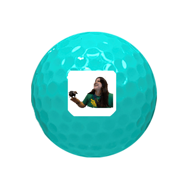 Value Golf Balls Aqua