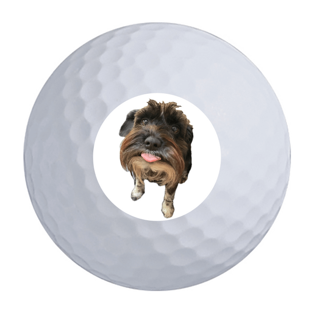 Titleist Pro V1x Golf Balls