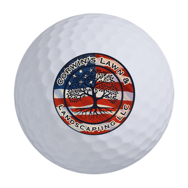 Bridgestone e6 Golf Balls