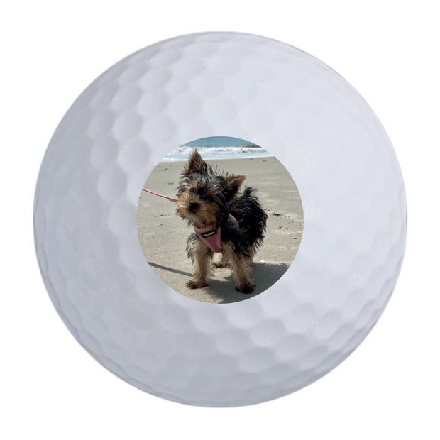 Precept Power Drive Golf Balls