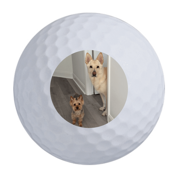 Srixon Marathon Golf Balls - 15 Ball Pack