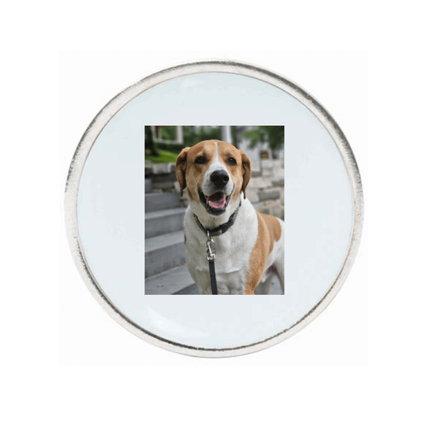 10 Pack Silver Ball Markers