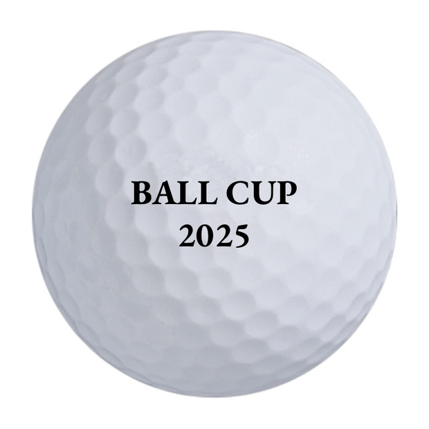 Bridgestone e6 Golf Balls