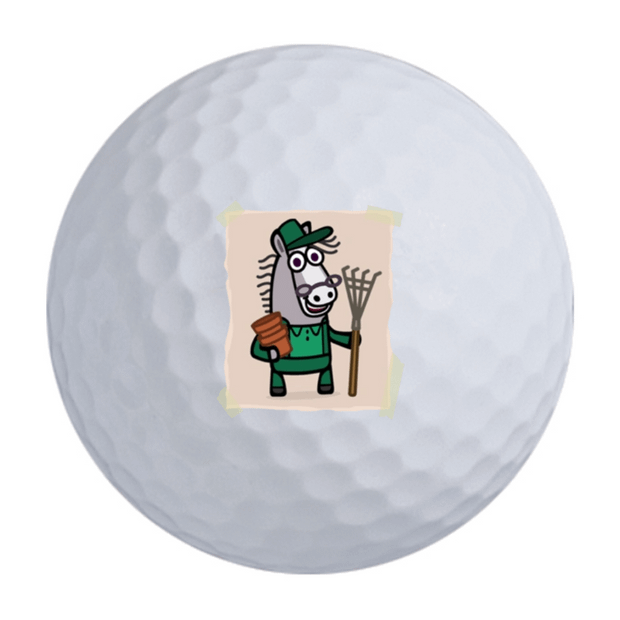 TaylorMade Distance + Golf Balls