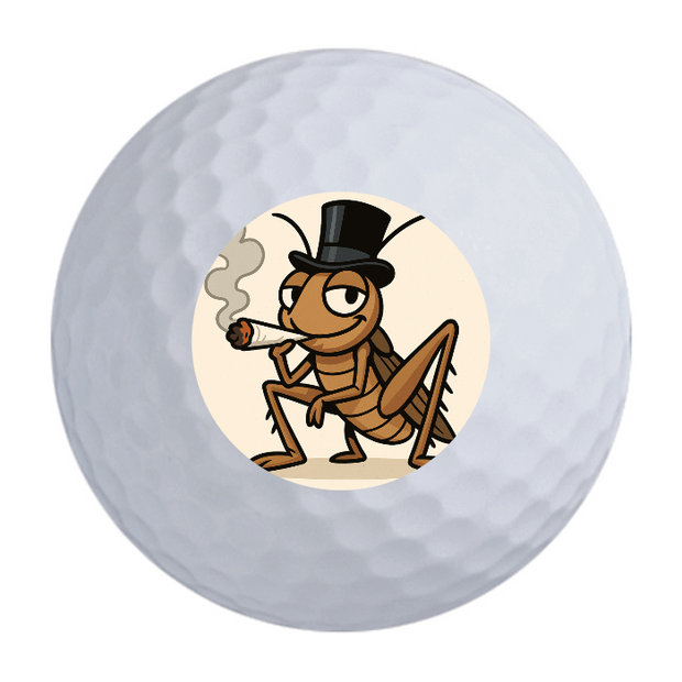 Bridgestone e6 Golf Balls