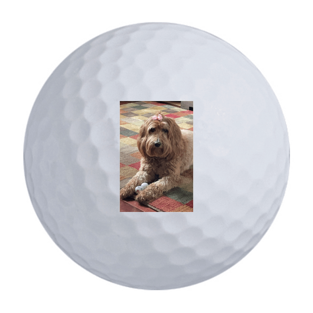 TaylorMade Distance + Golf Balls  (Prior Gen)