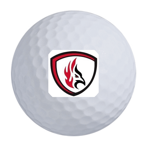 Callaway Warbird Golf Balls