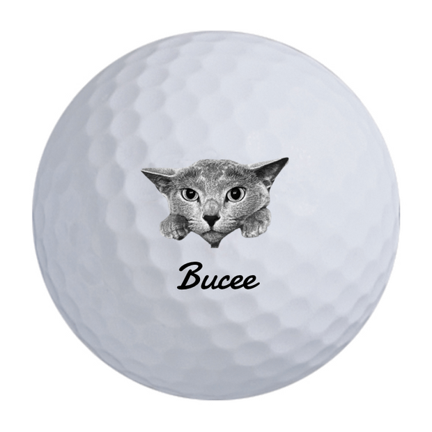 TaylorMade Distance + Golf Balls