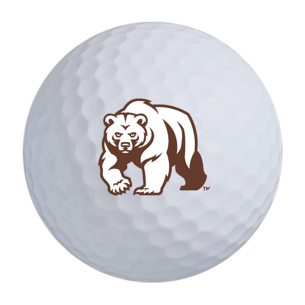 TaylorMade Distance + Golf Balls