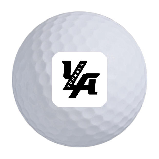 Titleist Pro V1 Golf Balls