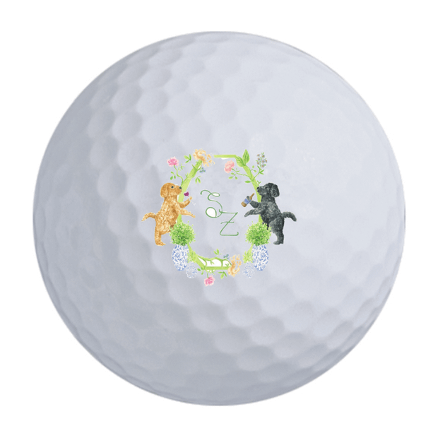 Precept Power Drive Golf Balls