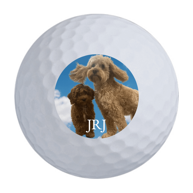 Wilson 50 Elite Golf Balls