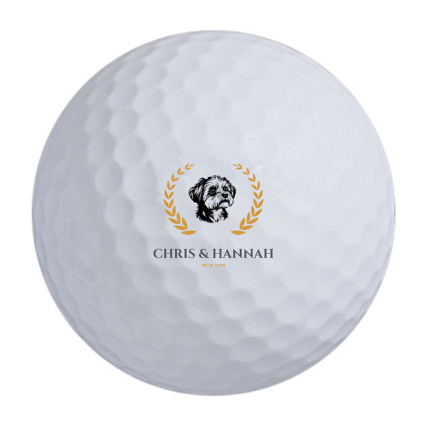 Custom Callaway Warbird Golf Balls One Dozen
