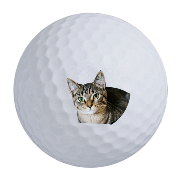 Volvik Vivid White Golf Balls
