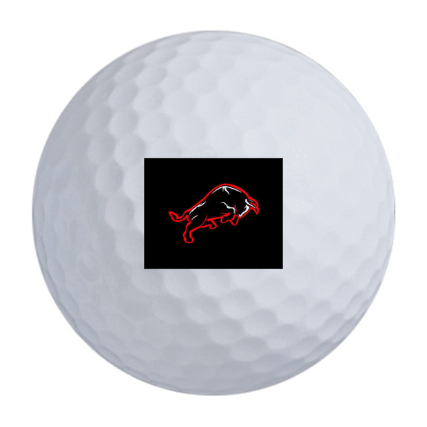 Bridgestone Tour B XS MindSet Golf Balls