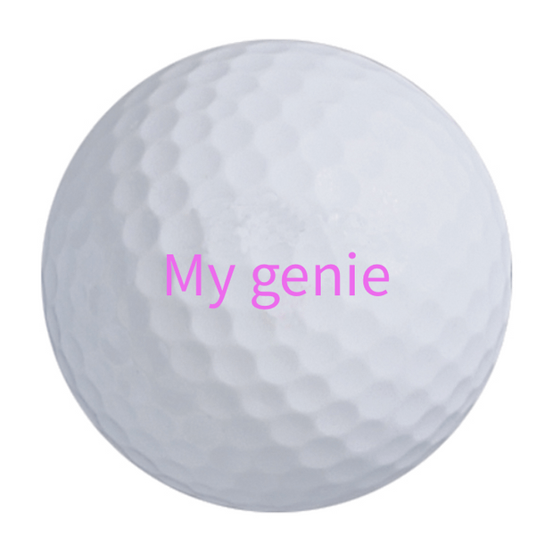 Titleist Pro V1 Golf Balls One Dozen