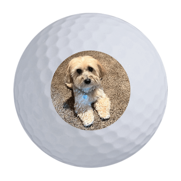 TaylorMade Distance + Golf Balls