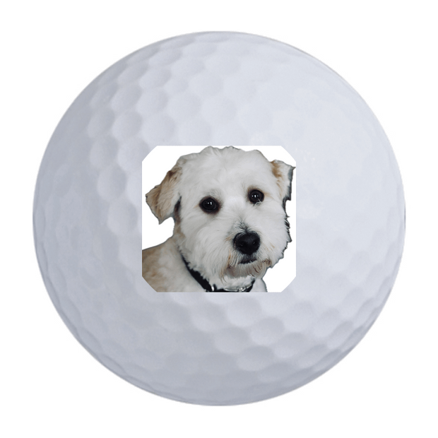 Wilson Ultra Distance Golf Balls