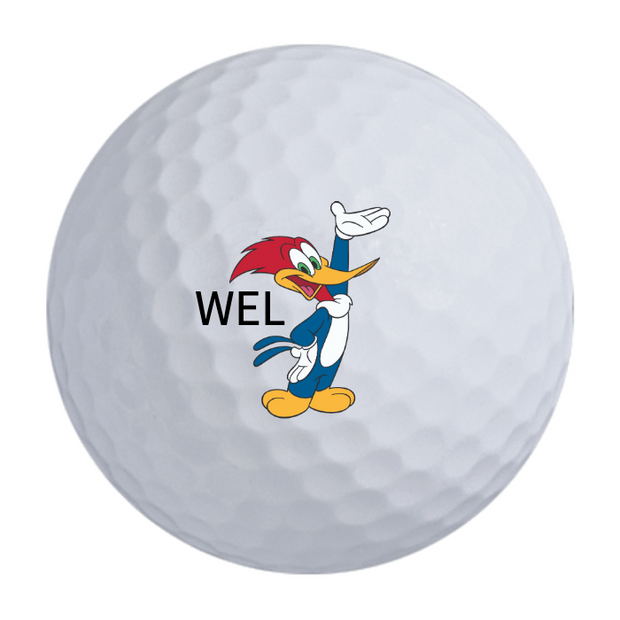 Bridgestone e6 Golf Balls