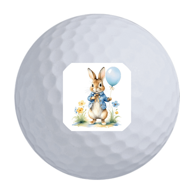 Bridgestone e6 Golf Balls