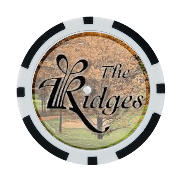 30 Poker Chips in Tube