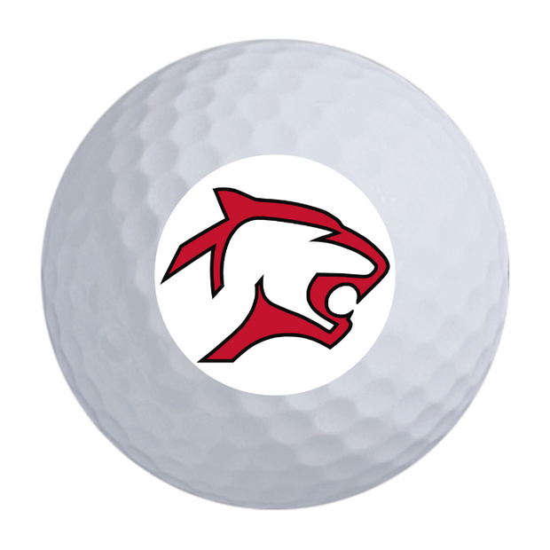 Bridgestone e6 Golf Balls