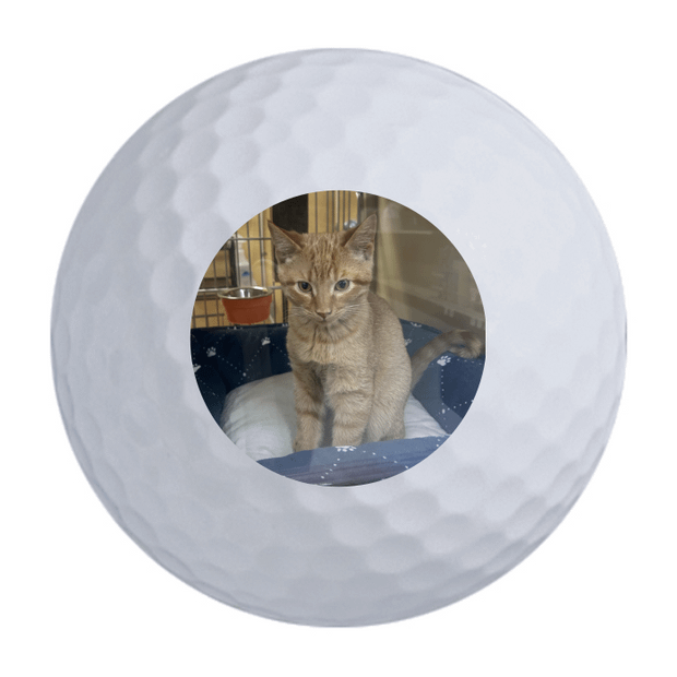 Custom Callaway Supersoft Golf Balls One Dozen