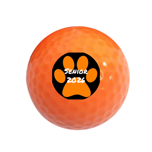 Value Golf Balls Orange