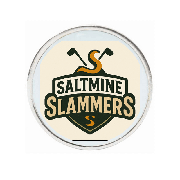 10 Pack Silver Ball Markers