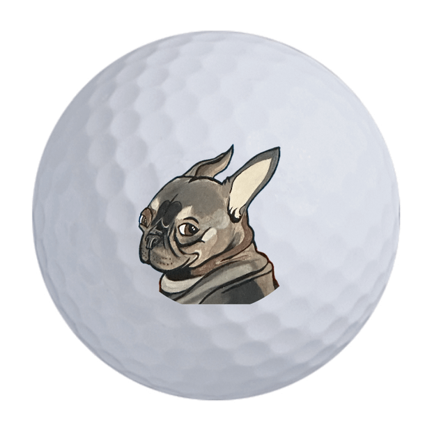 Bridgestone e6 Golf Balls